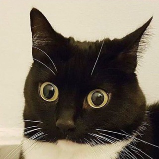 Это моя работа