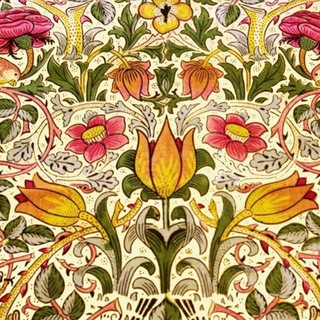 Гордый тимьян, одинокая роза