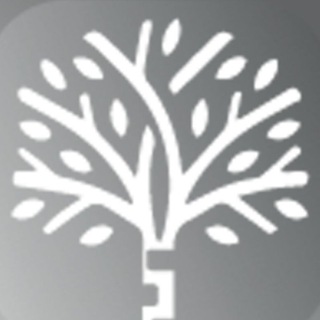 ТИТАНовая Берёза