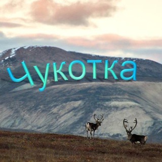Новости Чукотка