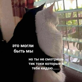 лайкнули тикток