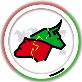 TIL Group | Трейдинг, Инвестиции, Обучение