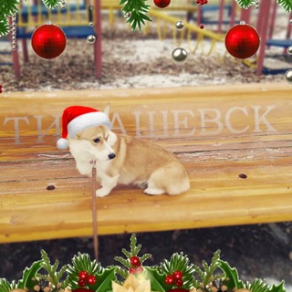 ТИМАШЕВСК НОВОСТИ