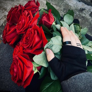 𝐑𝐄𝐕𝐄𝐑𝐈𝐄