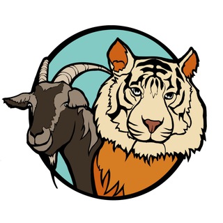 Тимур и Амур