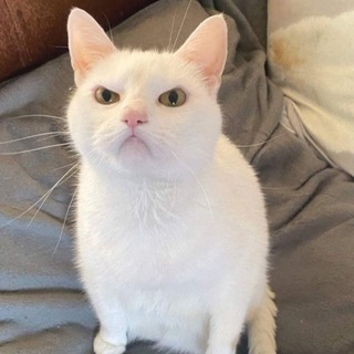 Церковь Хрена НОВОСТИ