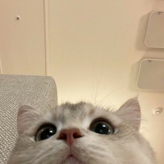 ❤️‍🩹❤️‍🩹