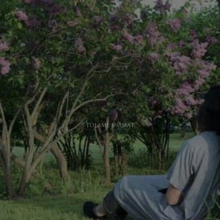 𝐓𝐨𝐥𝐚𝐦𝐞 𝐮𝐦𝐦𝐚𝐭