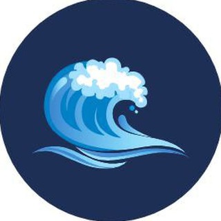 tom4g tom4gg neonblack1 twitch https://t.me/near7777