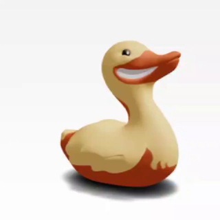 TON Duck