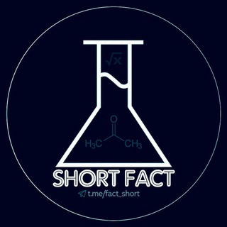 Short Fact | Факты
