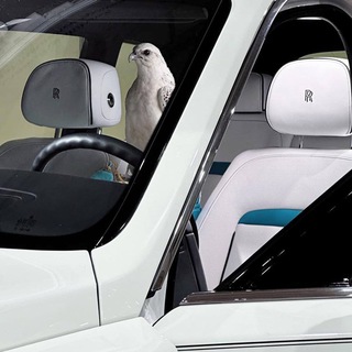 𝚃𝙾𝙿𝙻𝙸𝚅𝙾 𝚜𝚘𝚞𝚗𝚍