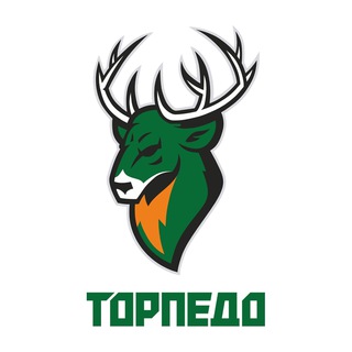 ПКМФ «Торпедо» Нижегородская область