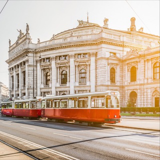 Туры с Олей Лучич