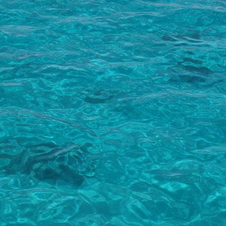 Смех Медузы