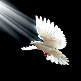 К твоей душе (письма)