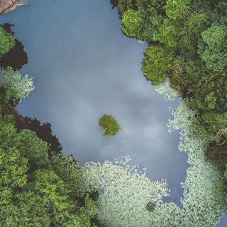 ТрейдингТур 🎯