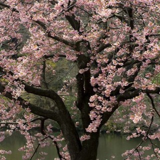 сигареты после секса