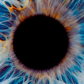 Прозрачная неподвижность