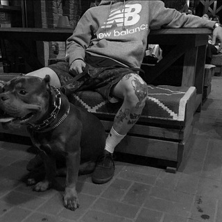 🕸️ANDEGROUND🕸️