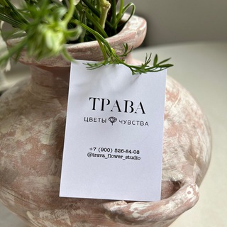 ТРАВА | будни в цветах