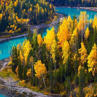 Визы, безвиз и коронавирус. Куда поехать в 2022. Новости