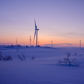 Мой выбор — путь!