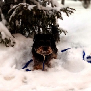 Моня как смысл жизни 🌎