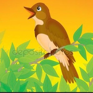 Трели нашего городка