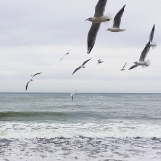 Открывая Кенигсберг