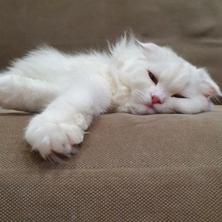 🤗 Трогательная психология | Эльвира Горянская