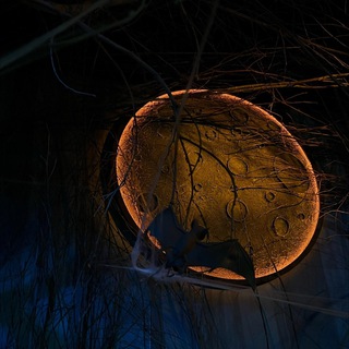 Трупоеда 🪶