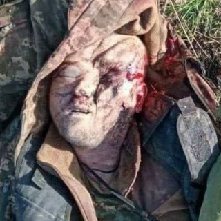 МЕРТВЫЕ ХОХЛЫ // ГРУЗ 200 // СВО