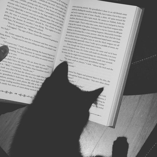 Dark Wisdom | Афоризмы, Литература