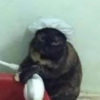 。🪄 блядская могила