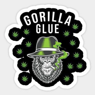 Gorilla Glue הזמנות