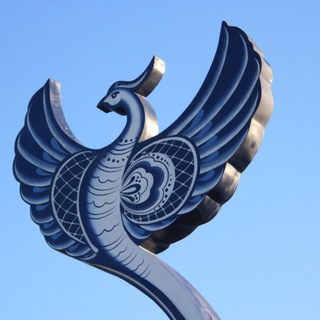 МКУ «ТУ Гжельское» Раменский г.о.