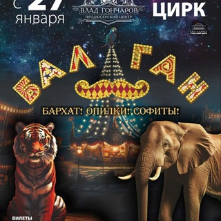 Тульский цирк