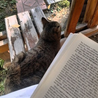 𝕋ü𝕣𝕜 𝔻𝕚𝕝𝕚 | 𝚃ü𝚛𝚔 𝚋𝚕𝚘𝚐𝚞🇹🇷