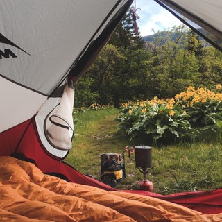 Дневник путешественницы 🏕️✨