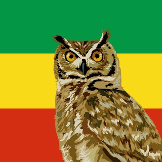 Абиссинская Сова