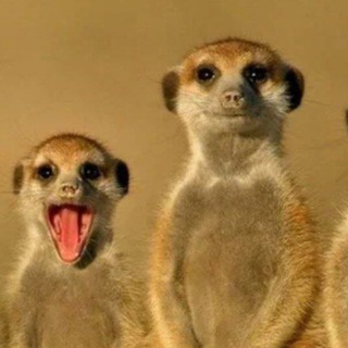 Смеху🔞чки 🚂