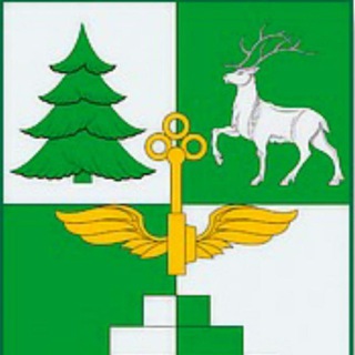 Администрация города Тынды