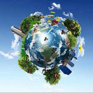 Удивительные факты