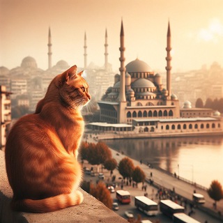 Турецкий язык | Гид по языку