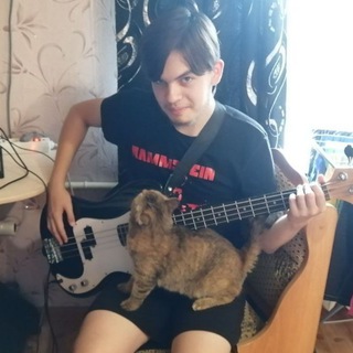 здесь сидит ромочка