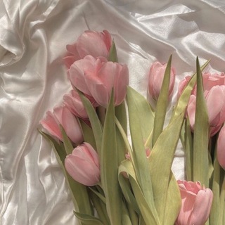 𝓾𝓰𝓸𝓵𝓸𝓴 𝓿𝓸𝓼𝓹𝓸𝓶𝓲𝓷𝓪𝓷𝓲𝔂