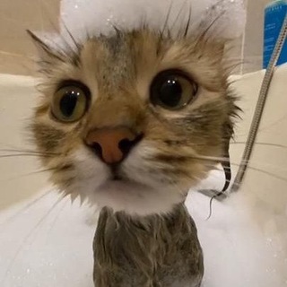 Инфа про фейков