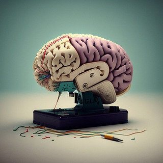 Ум один! Проба!