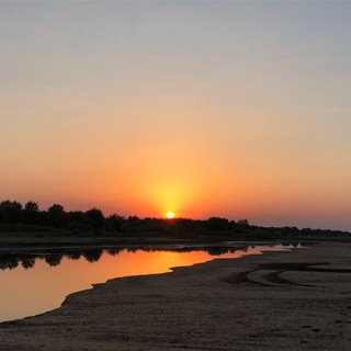 Лекции Умара Абу ль-Хасана